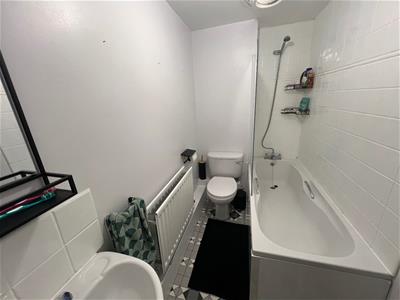Picture 8